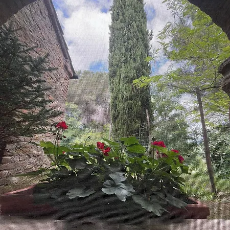 Casa Rasenna * Guardistallo